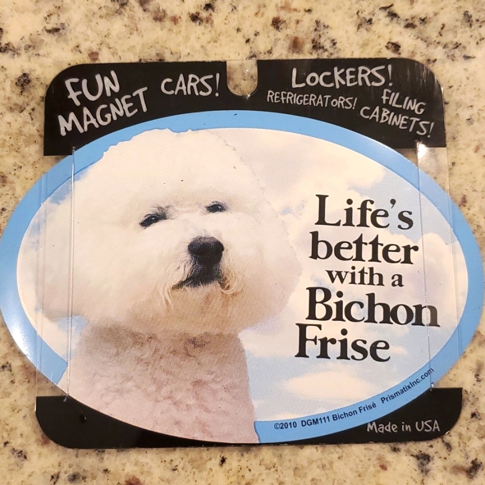 FUN MAGNET PET DECALS